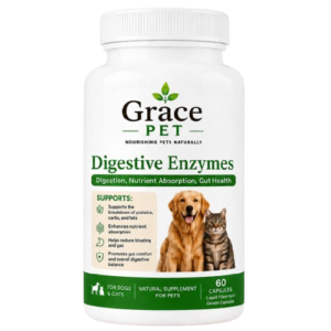 Digestive-Enzymes