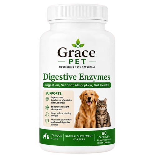 Digestive-Enzymes